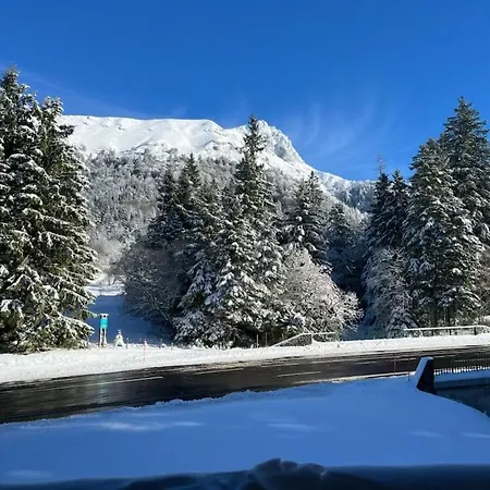 Dore, Style Vue Sur La Montagne 1a 6 Personnes Διαμέρισμα Mont-Dore